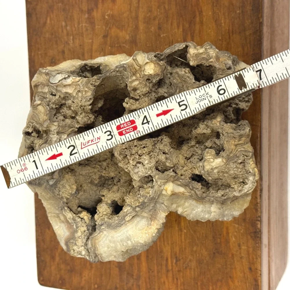 Natural Botryoidal Druzy Quartz Crystal Cluster Specimen Geode 5.5x6.5 Inch